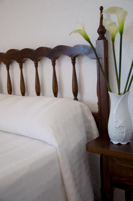 Hotel Álvarez Tuéjar Rum bild